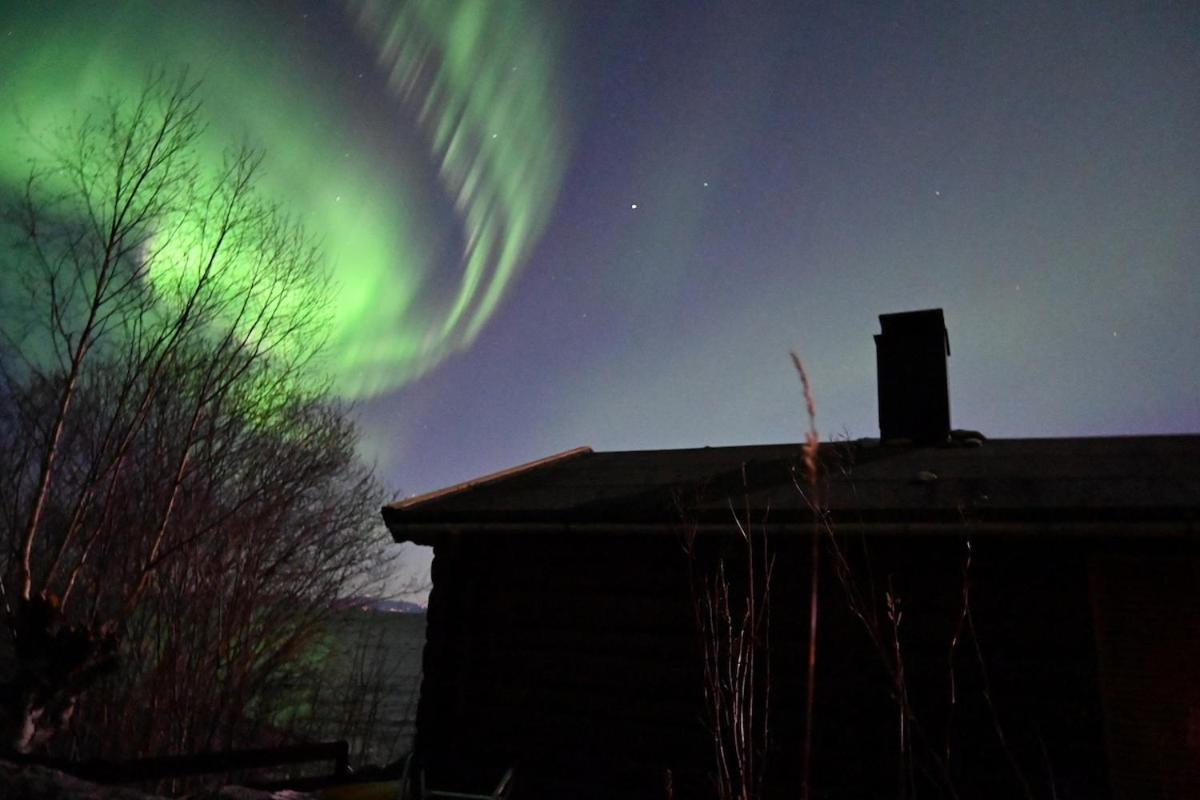 En Perle I Trondheimsfjorden Feriehus Trondheim